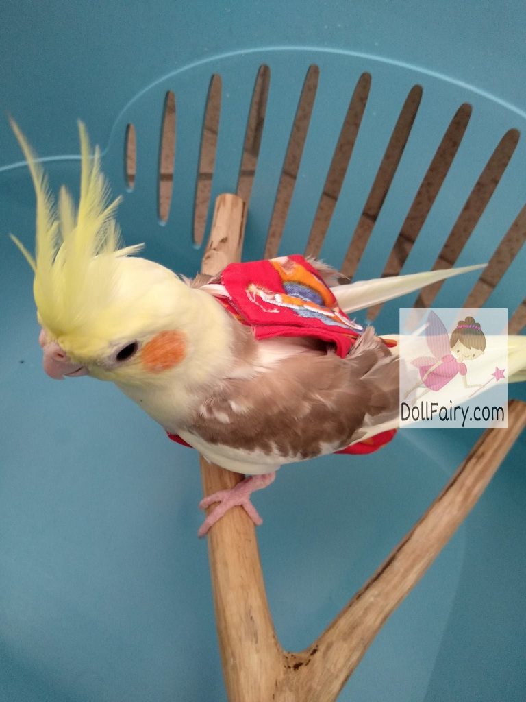 Fig Cockatiel Bird Diaper Flight Suit for CNY Chinese New Year