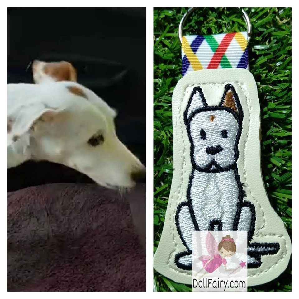 Pet Dog Key Fob