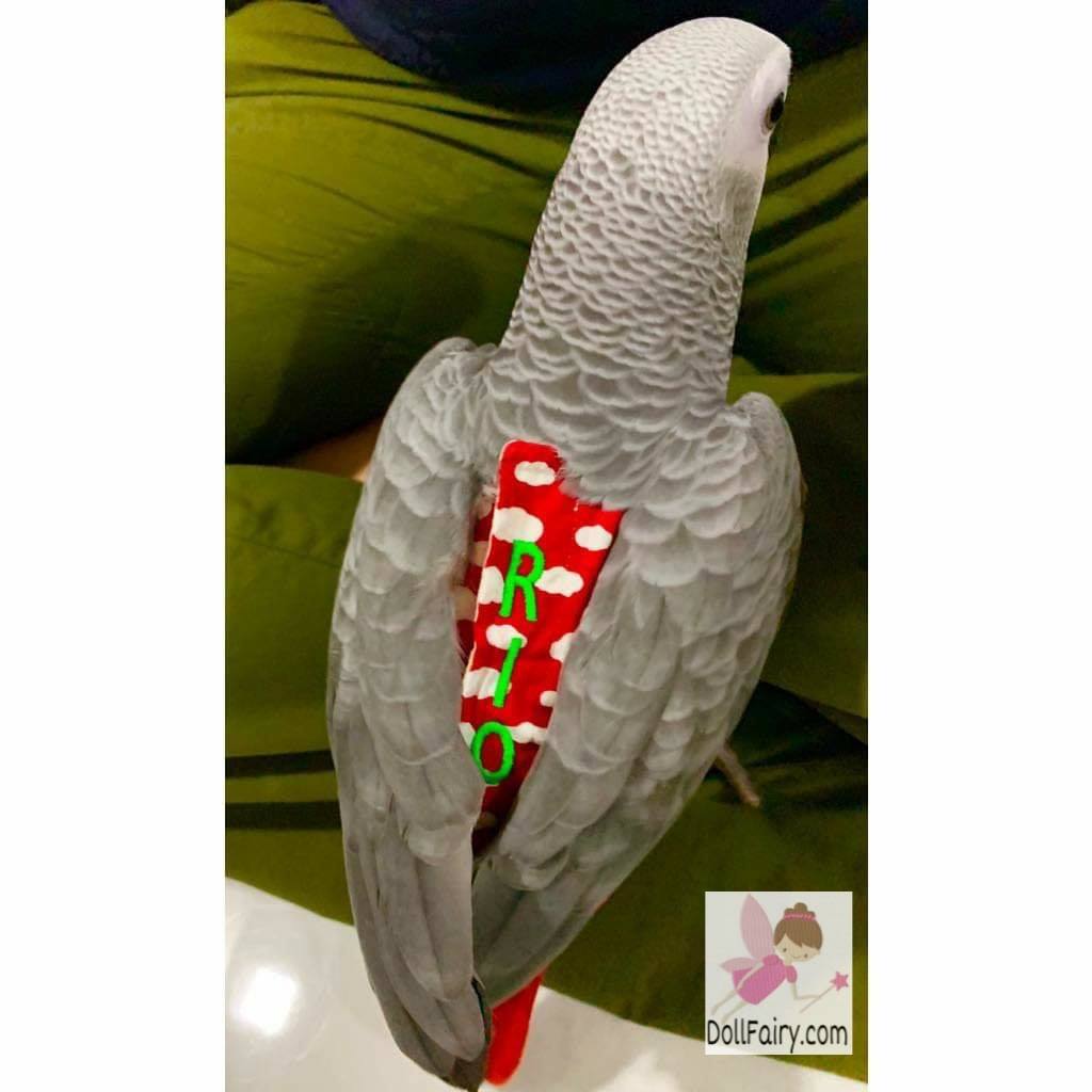 Rio African Grey Parrot Diaper Flight Suit