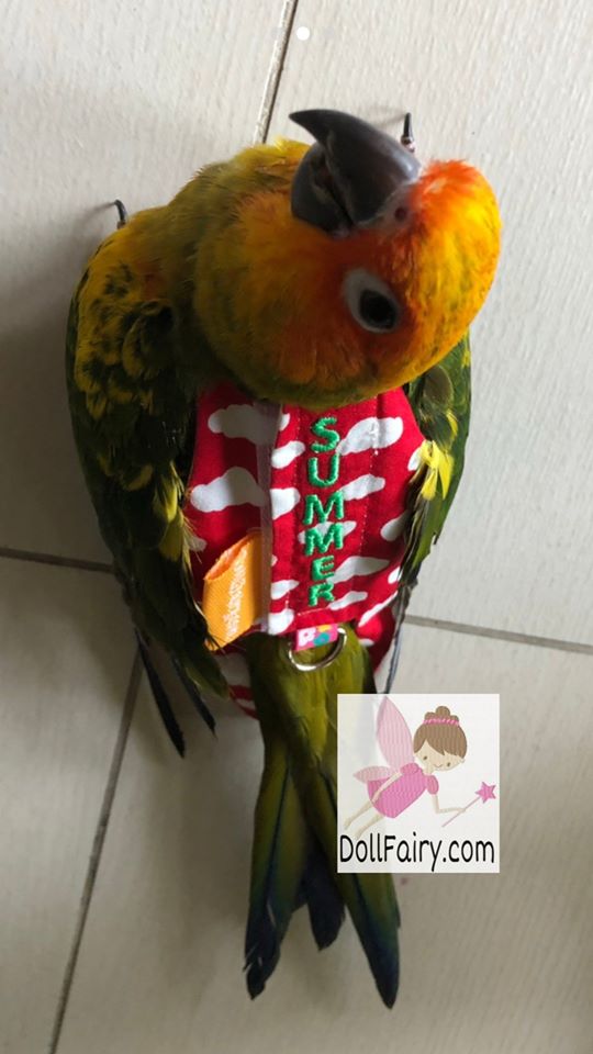 Summer Sun Conure Bird Diaper Flight Suit