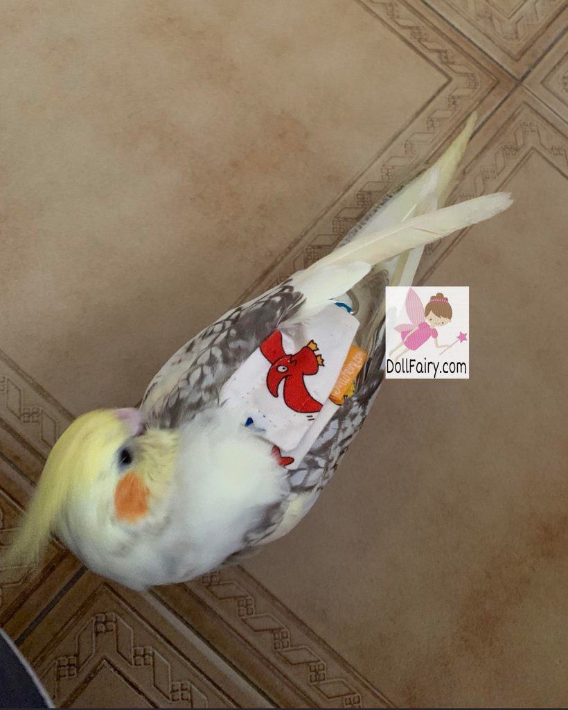 Cockatiel Bird Diaper Flight Suit