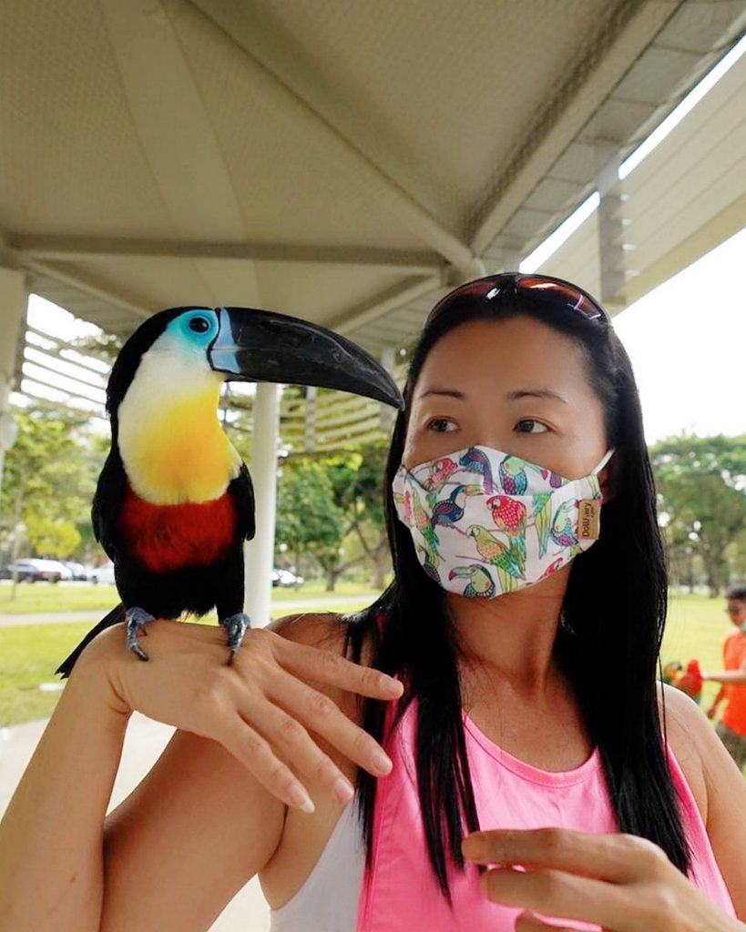 Toucan Bird And Matching Face Mask