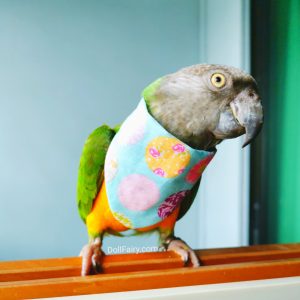 Bird Bandana