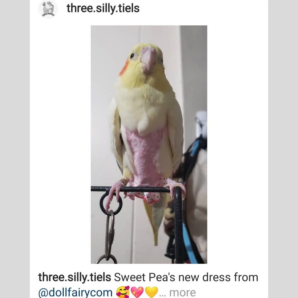 Testimonial From three.silly.tiels
